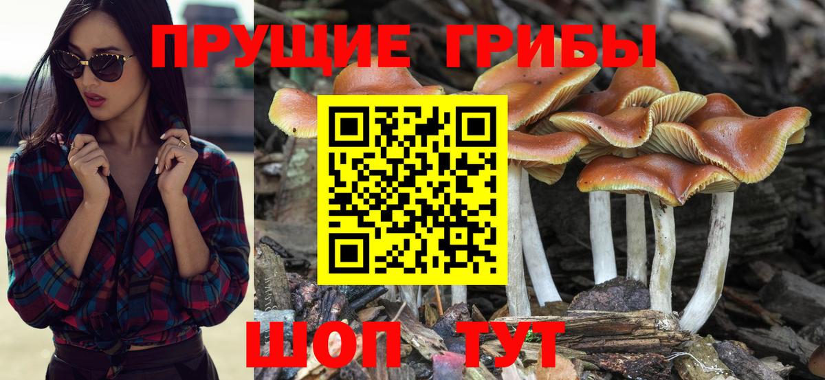 Беслан  Псилоцибиновые грибы Psilocybine cubensis  закладки  Вход с VPN  Галлюциногенные грибы Magic Shrooms 