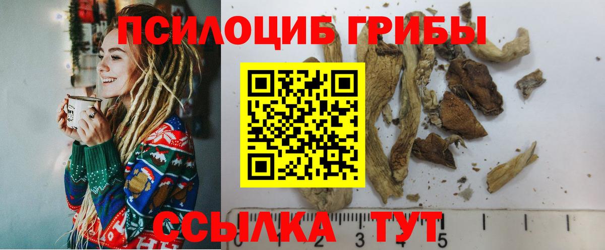 Псилоцибиновые грибы MAGIC MUSHROOMS Беслан